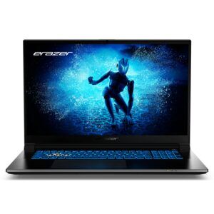 Erazer Deputy P60I Md62747 I5-13420H 16Gb 512Gb Rtx4060 15.6" KKTC