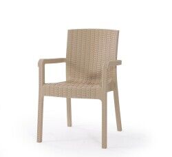 Heniver Vektör Rattan Sandalye - Görsel 1