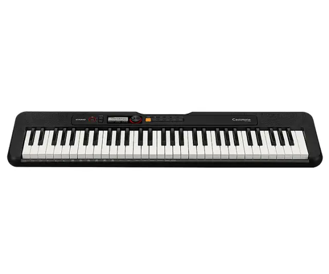 Casio Casiotone Standard 61 Tuşlu Org