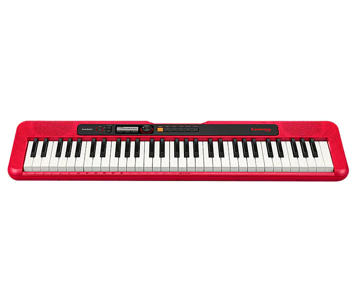 Casio Casiotone Standard 61 Tuşlu Org