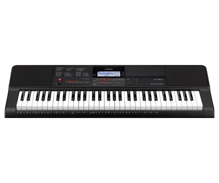 Casio  Standard 61 Tuşlu Org(High Grade Keybords)
