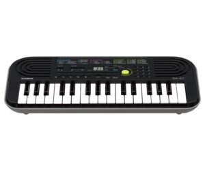 Casio Mini Org(Keyboard)