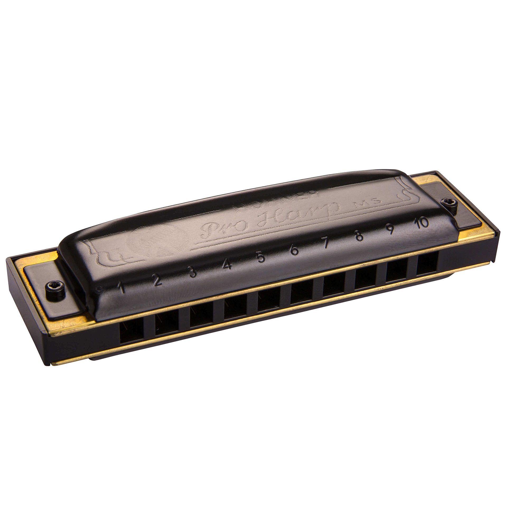Hohner  Pro Harp Harmonica
